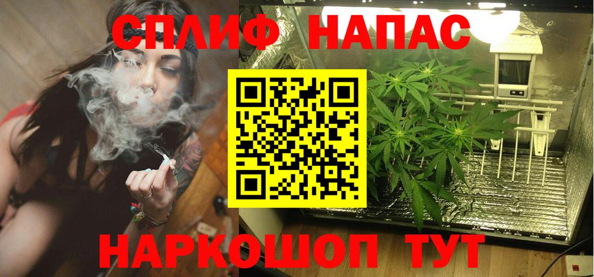 Каннабис Ganja  Шишки марихуана Amnesia  Вход с VPN  Шали 